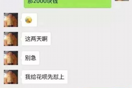 玉林为什么选择专业追讨公司来处理您的债务纠纷？